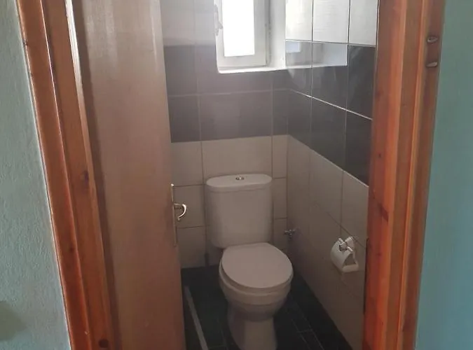 Basil & Breeze Lazarata